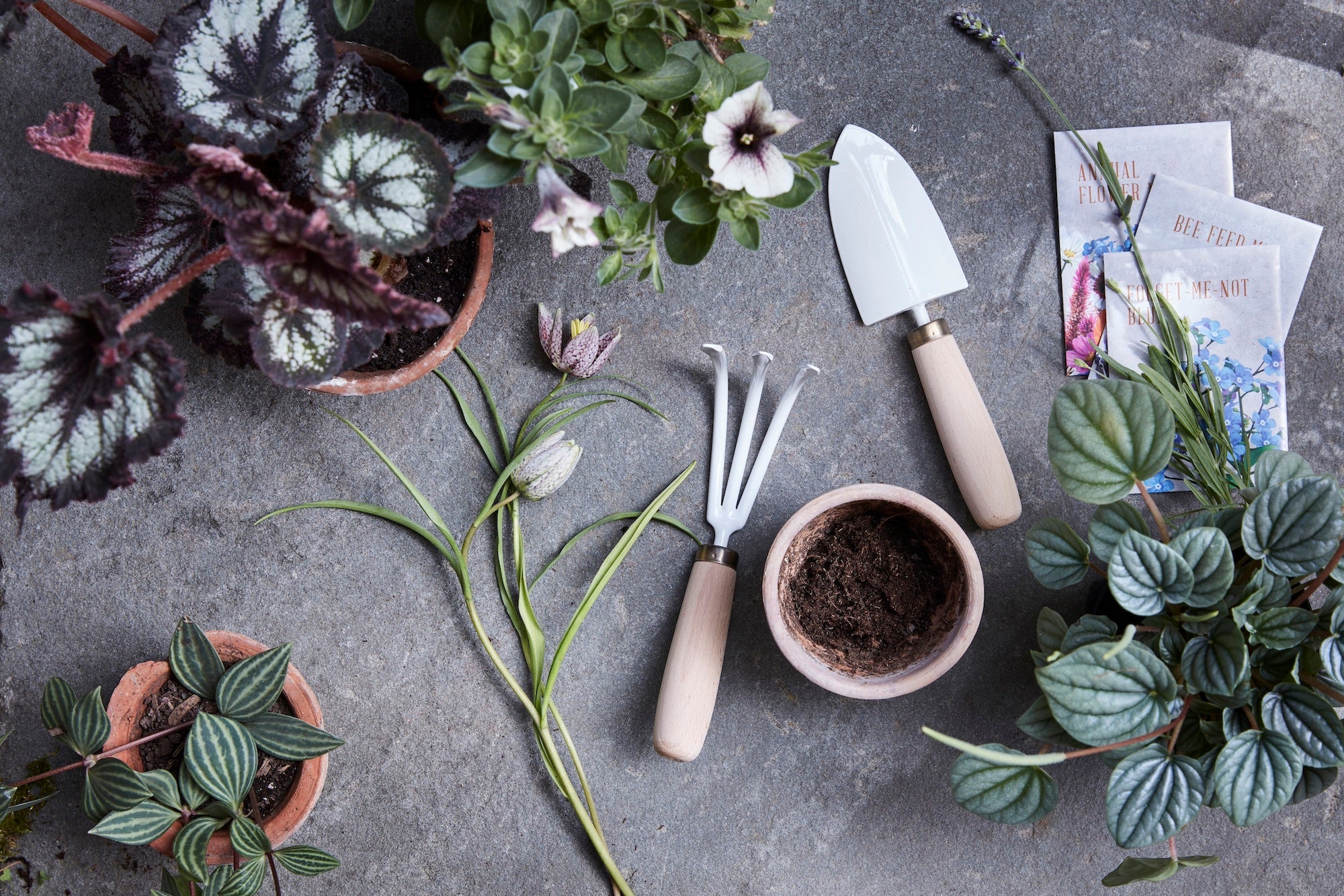 Tools & Supplies
