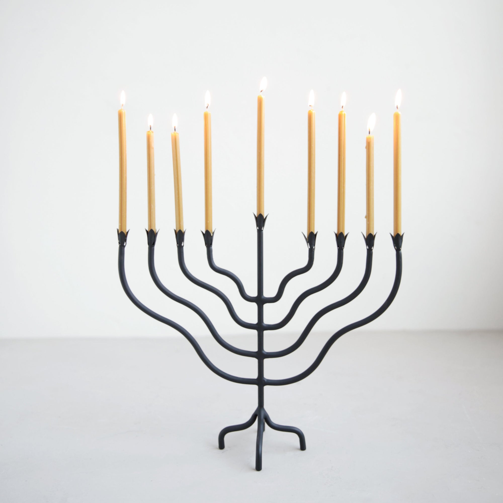 Beacon Iron Menorah, Tall. The Floral Society