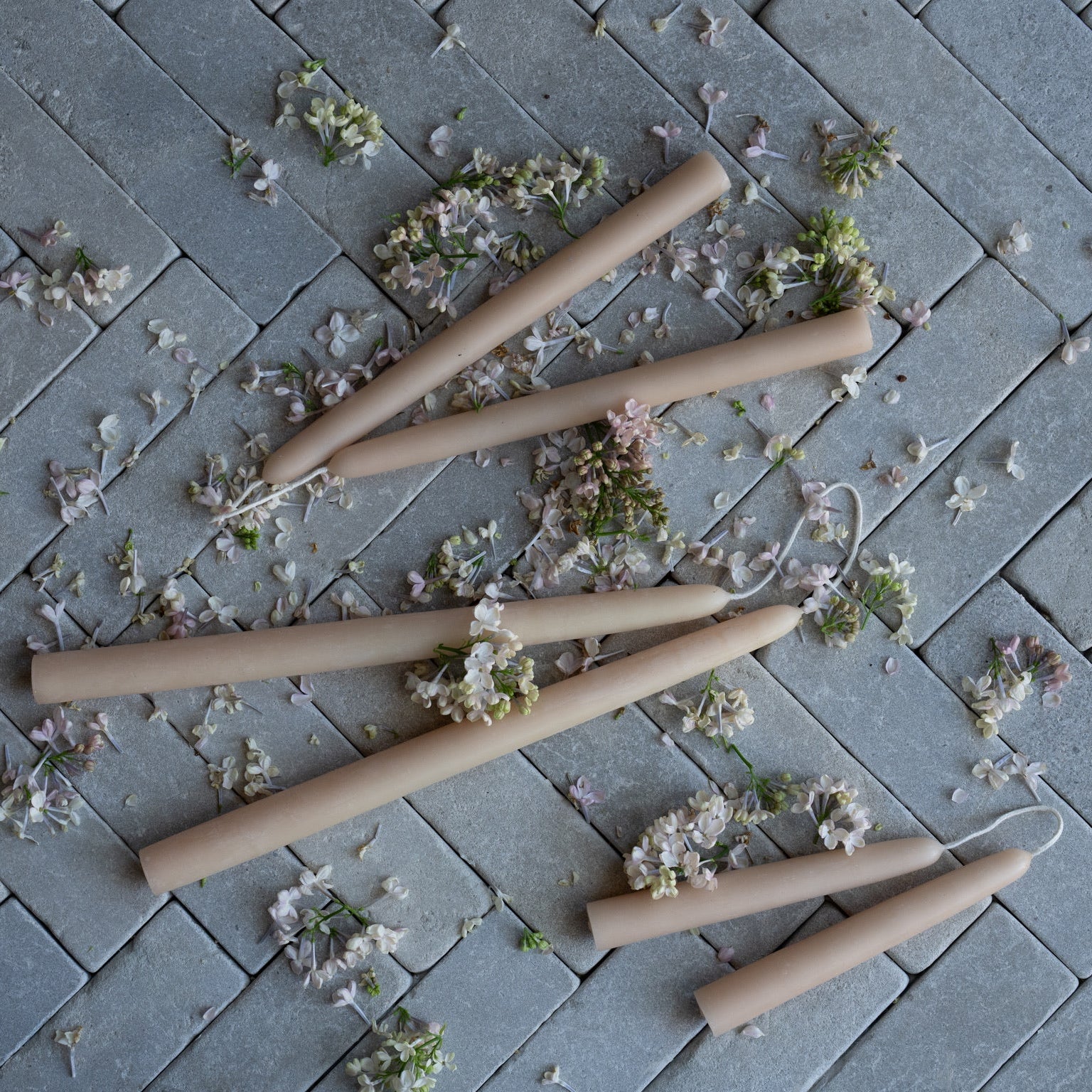 Beesswax Dipped Tapers Handmade Wholesale Salt