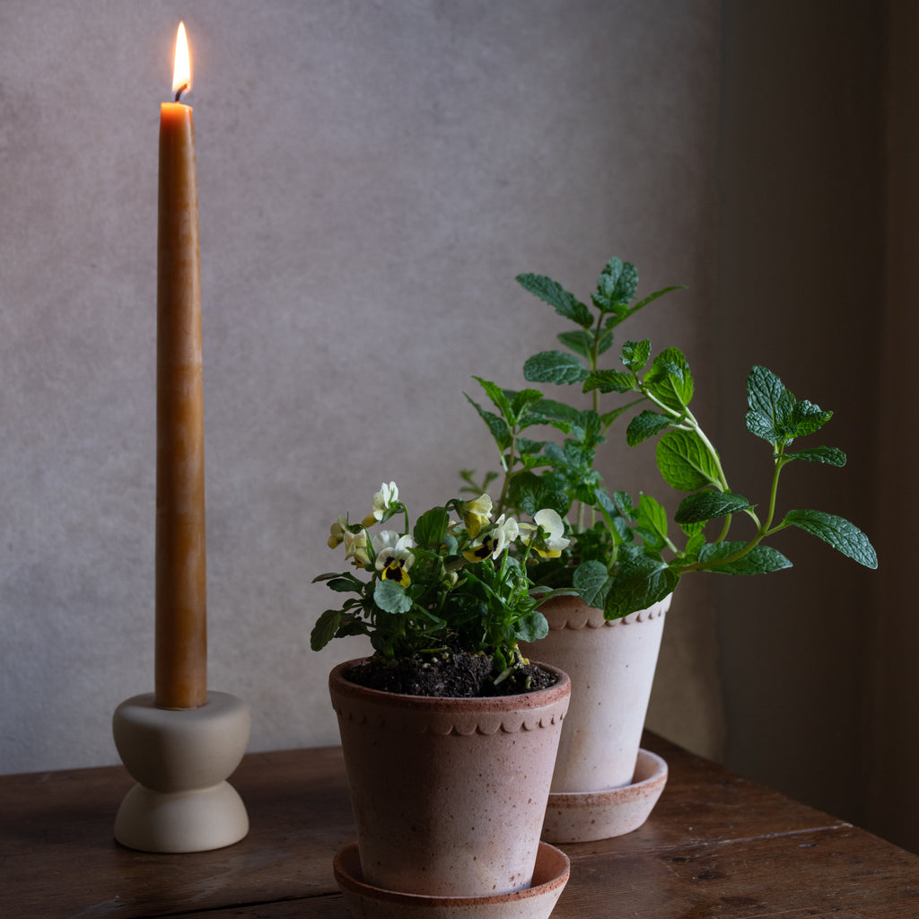 Beeswax 12in Ochre Taper Candle 