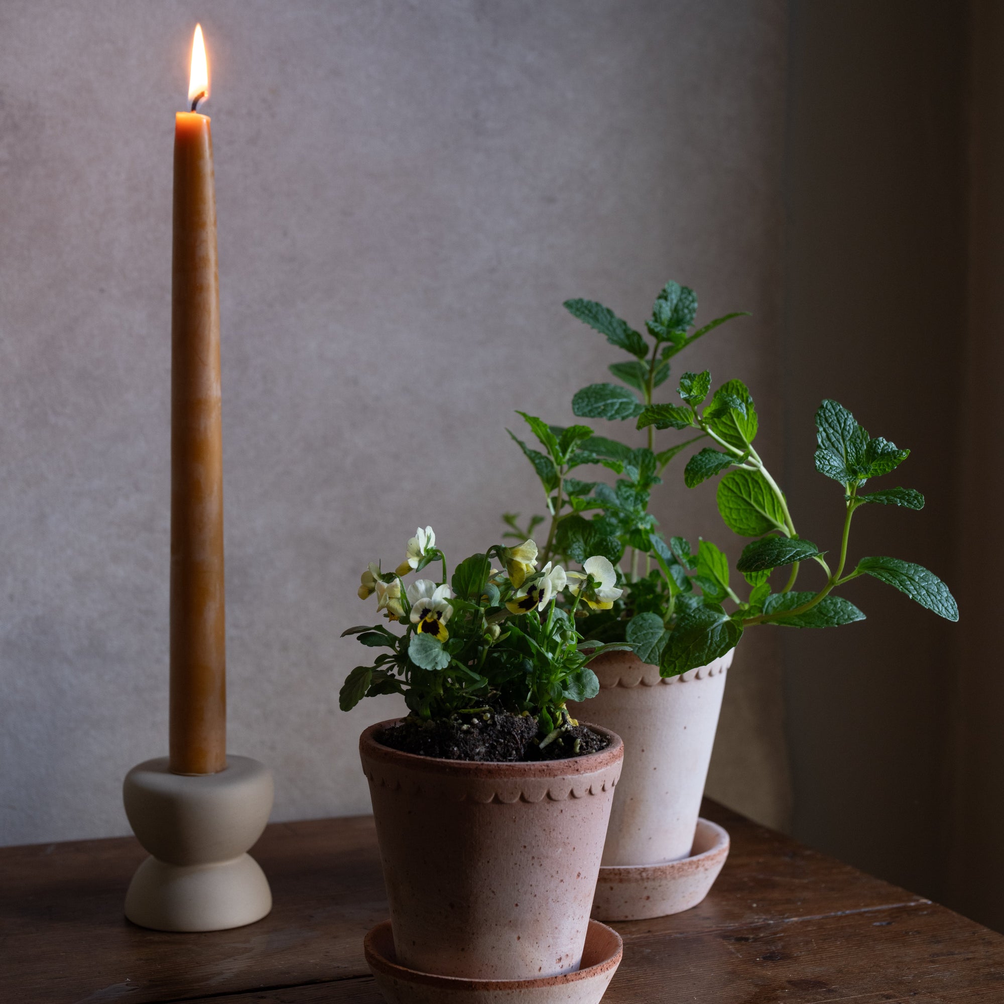 Beeswax 12in Ochre Taper Candle 