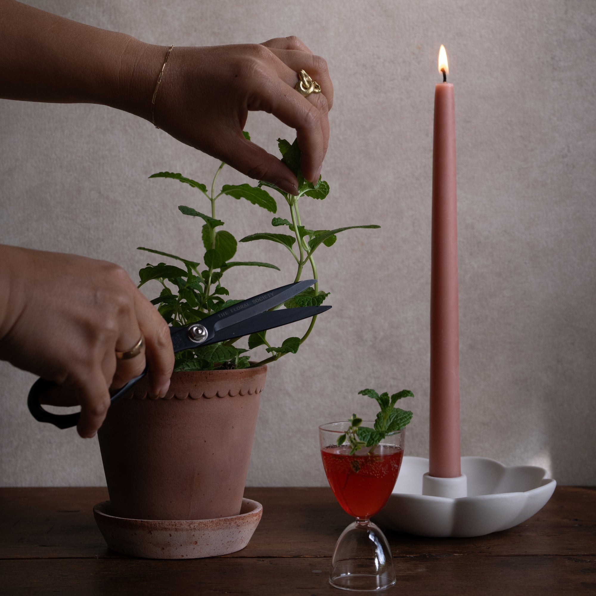 Beeswax Taper Candles Blossom