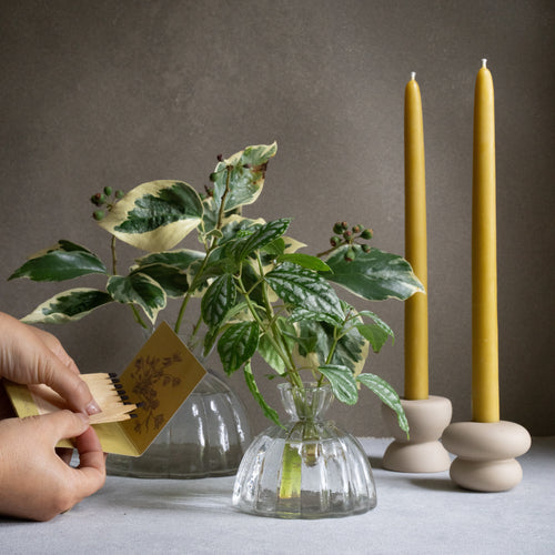 Botanic Matchbooks with Quotes Citrine