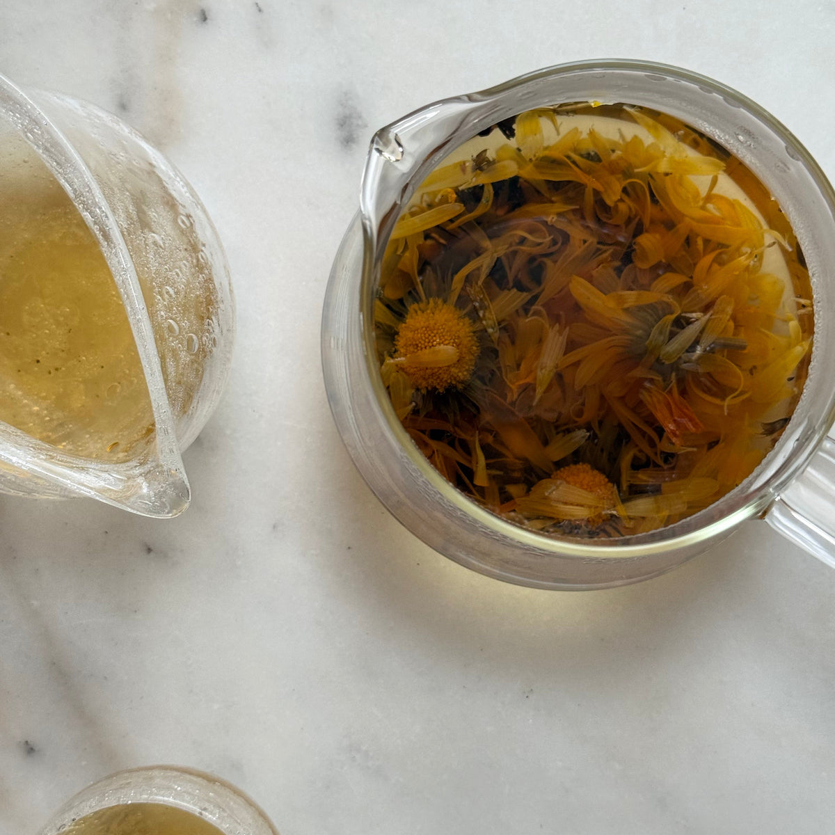 Solstice Botanical Tea Blend