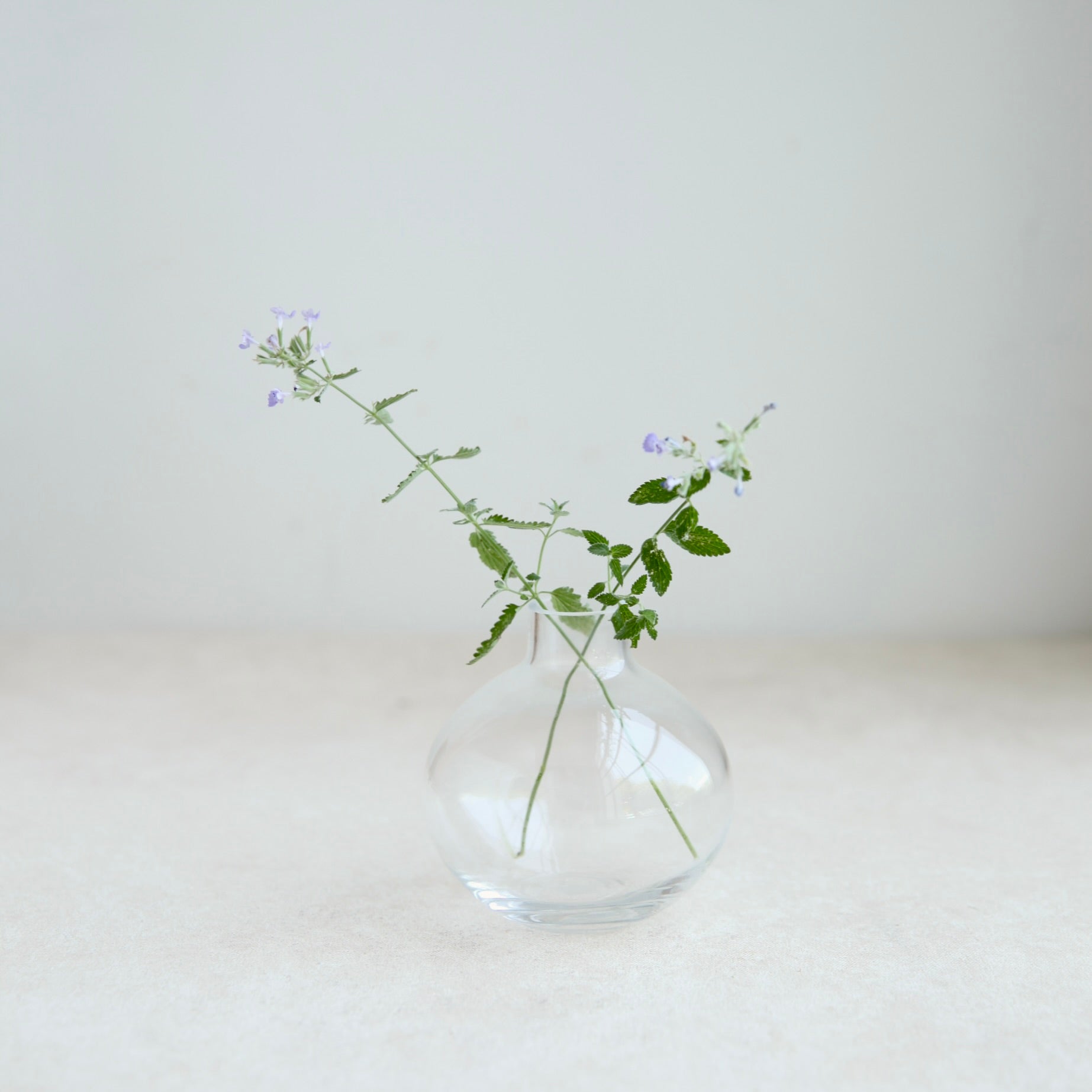 Glass Blossom Vase