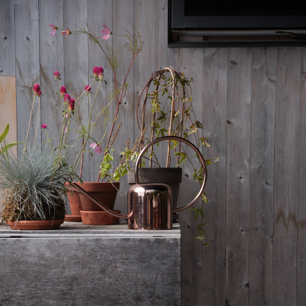 Copper Watering Can_The Floral Society
