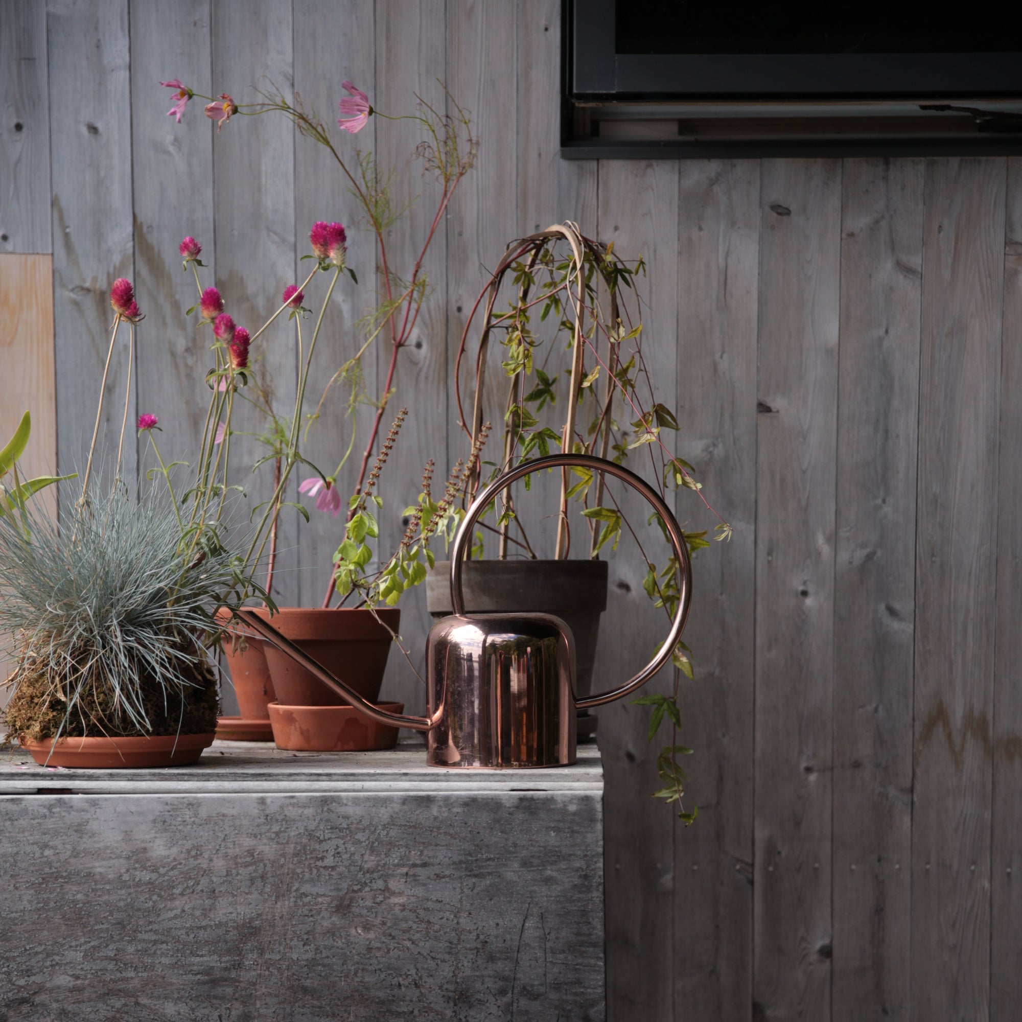 Copper Watering Can_The Floral Society