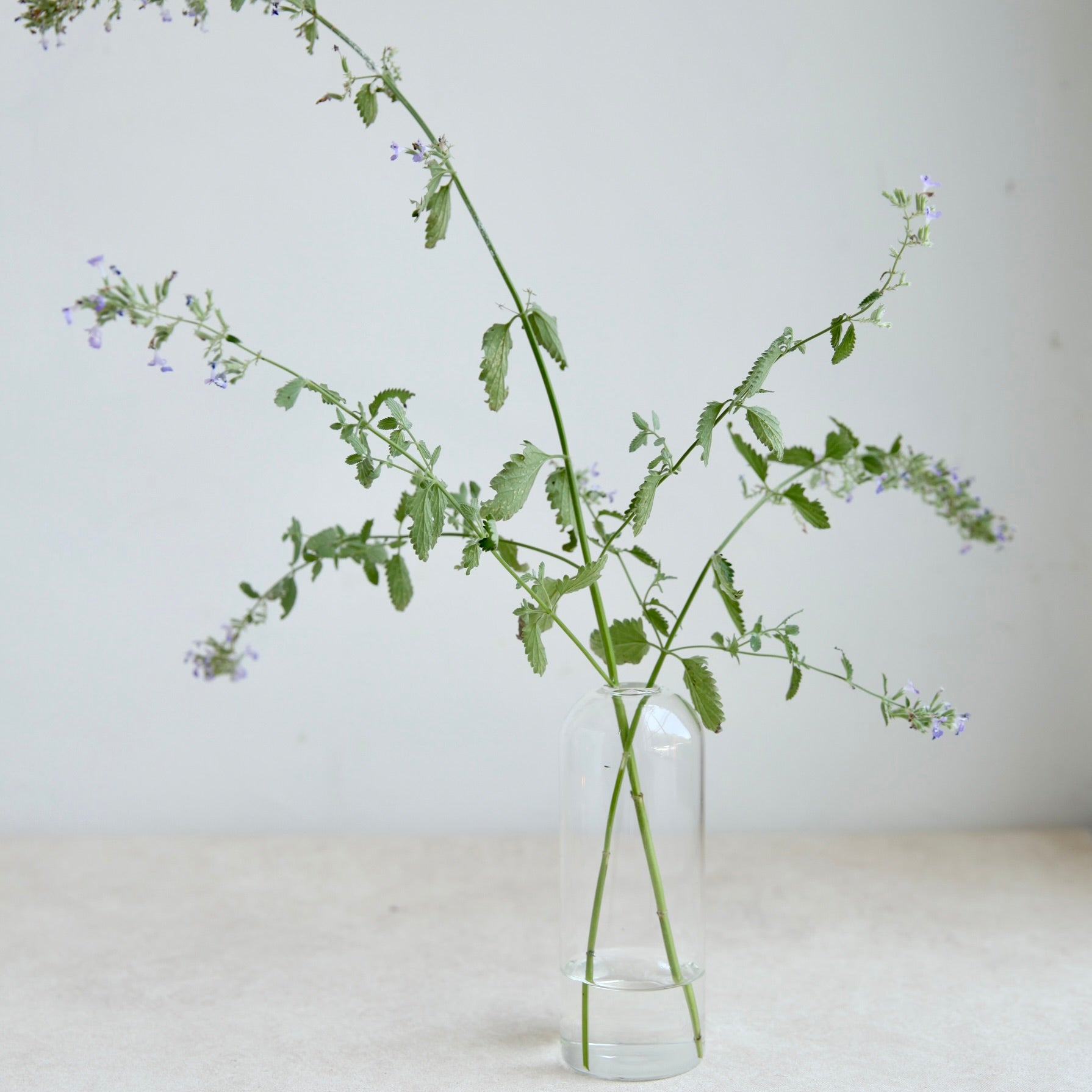 Dusk Bud Vase