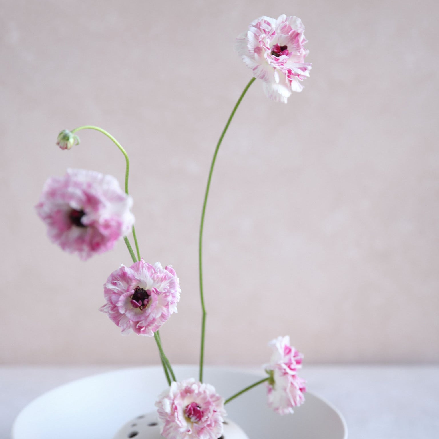 Flower Frog Bowl Vase, Small