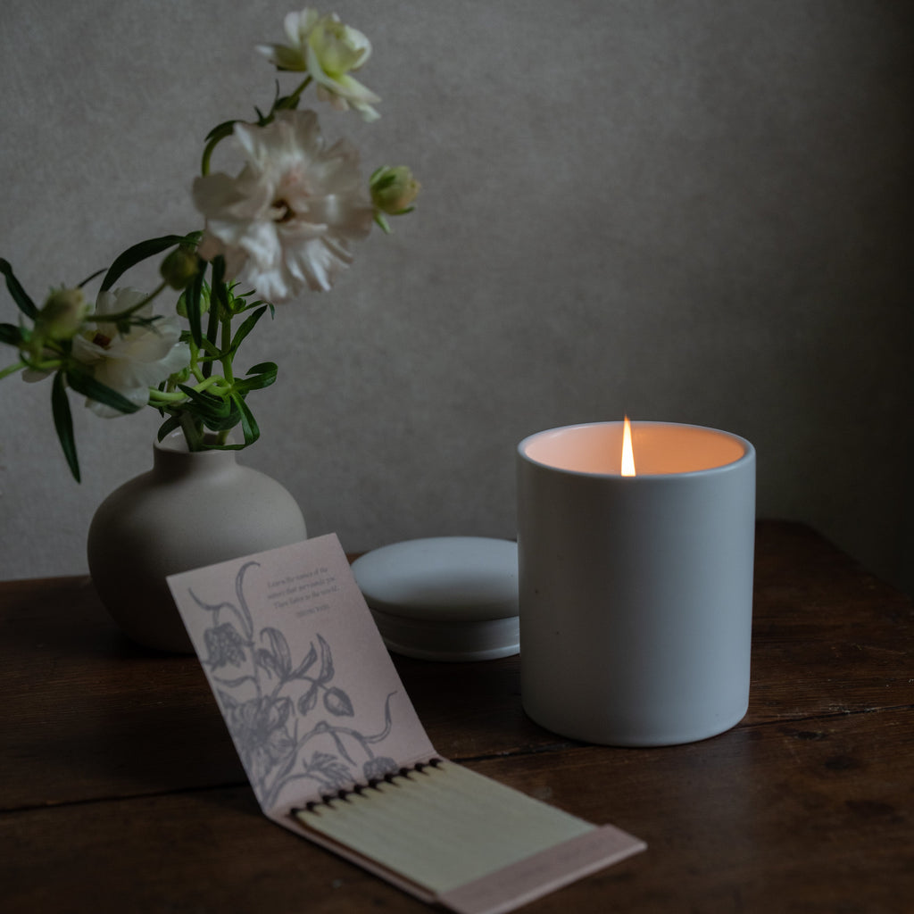 Essential Oil Fragrant Candles in ceramic