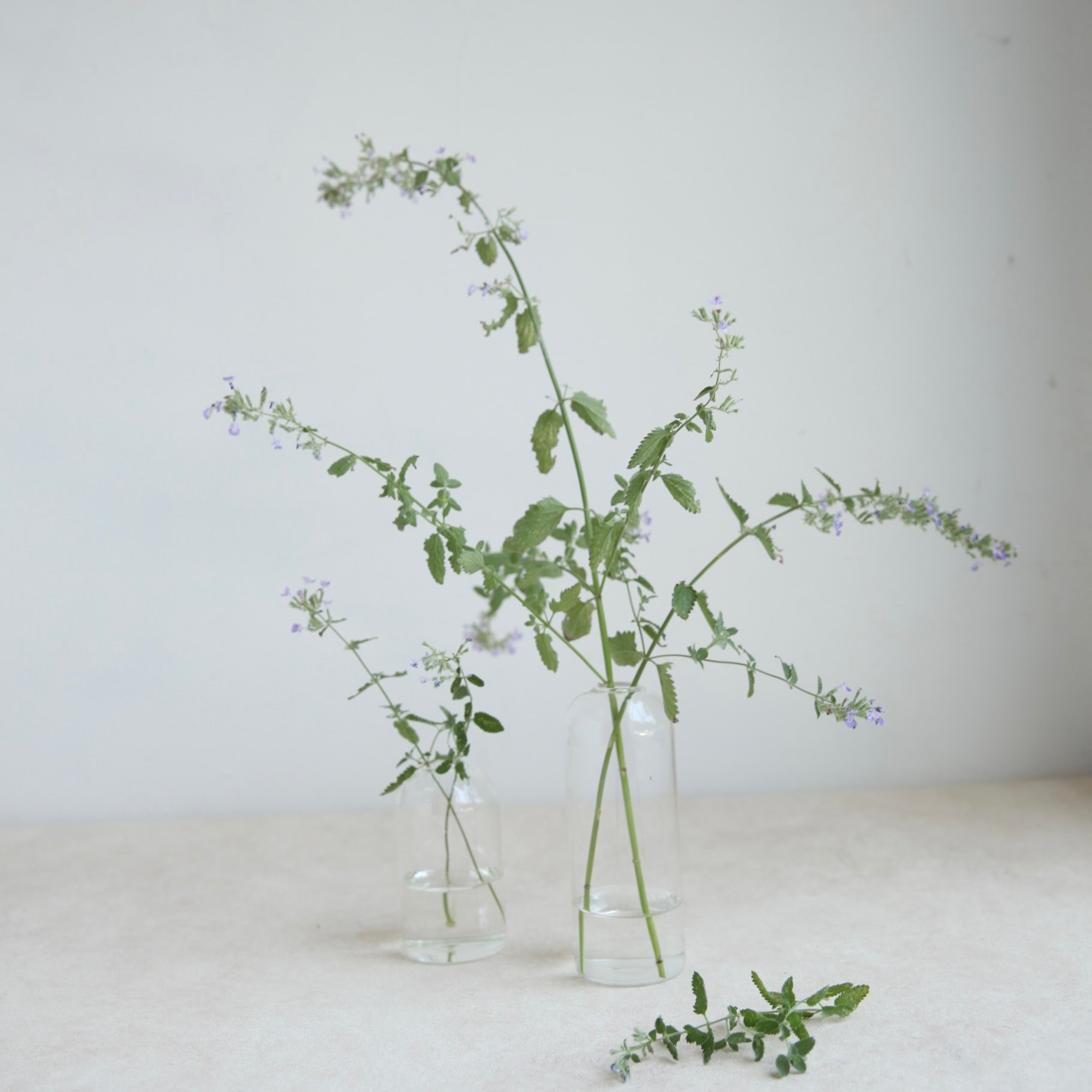 Dusk Bud Vase