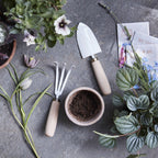 The palm-sized garden trowel and cultivator are a durable duo perfect for tending to an apartment garden, houseplants, and planting and transplanting seedlings. A great size for little green thumbs too. Both tools are hand-crafted, using Japanese sustainable beech wood for the handles and Japanese stainless steel blacksmith heat treatments and techniques. 