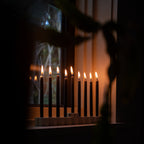 Fleur Menorah White 