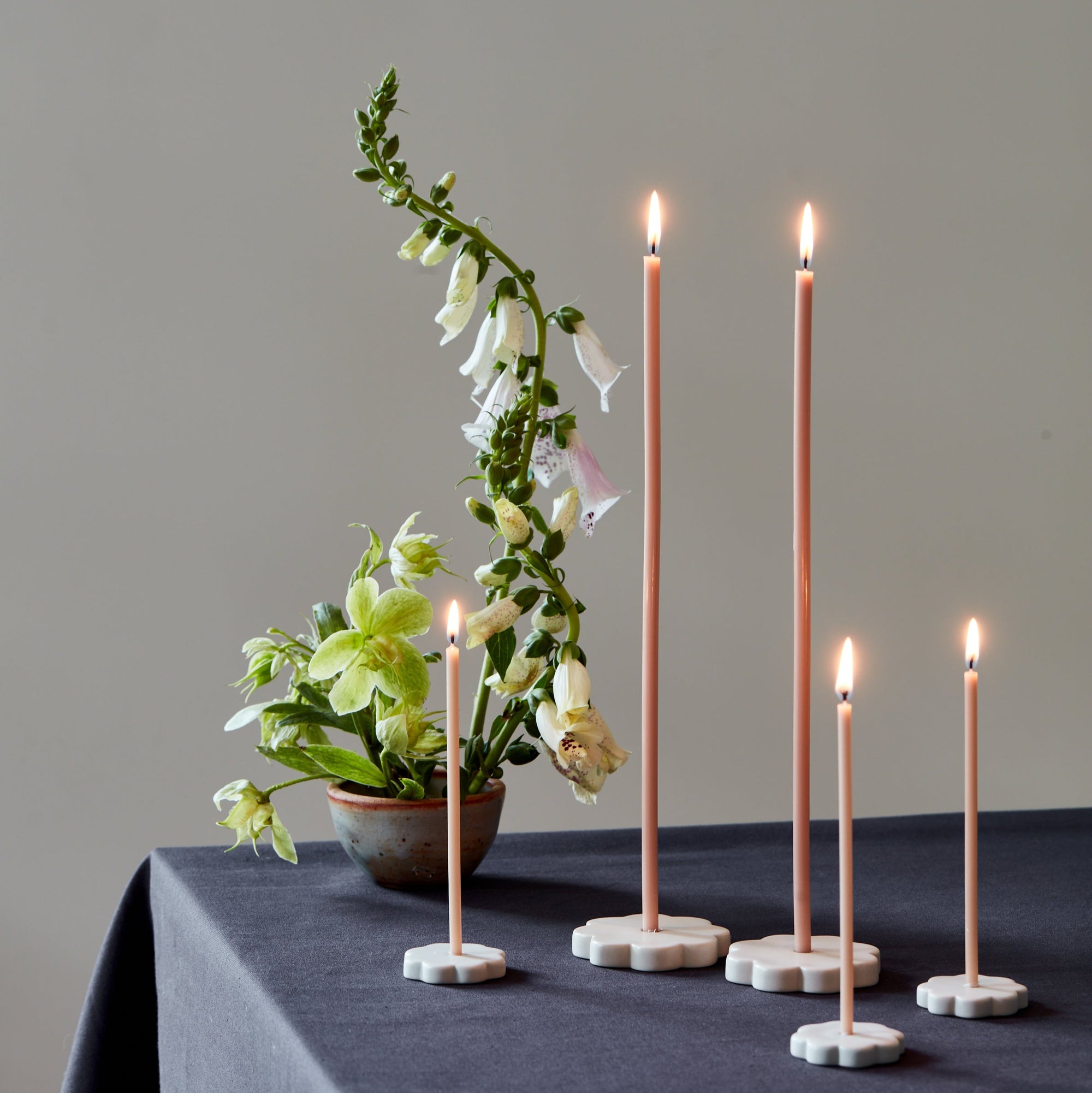Floral Society Long Stem Taper Candles 