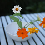 Flower Frog Bowl Small Ceramic