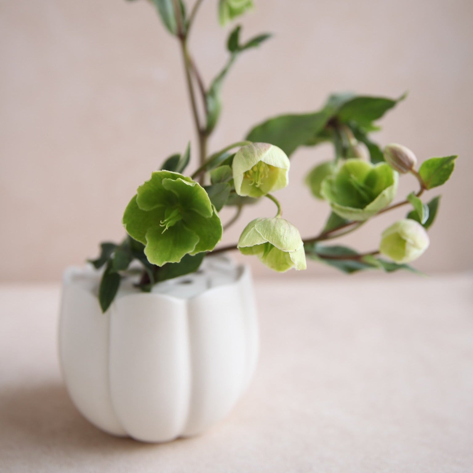 Flower Frog Vase_Ceramic_IkebanaSmall