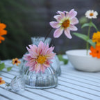 Glass Root Bud Vase