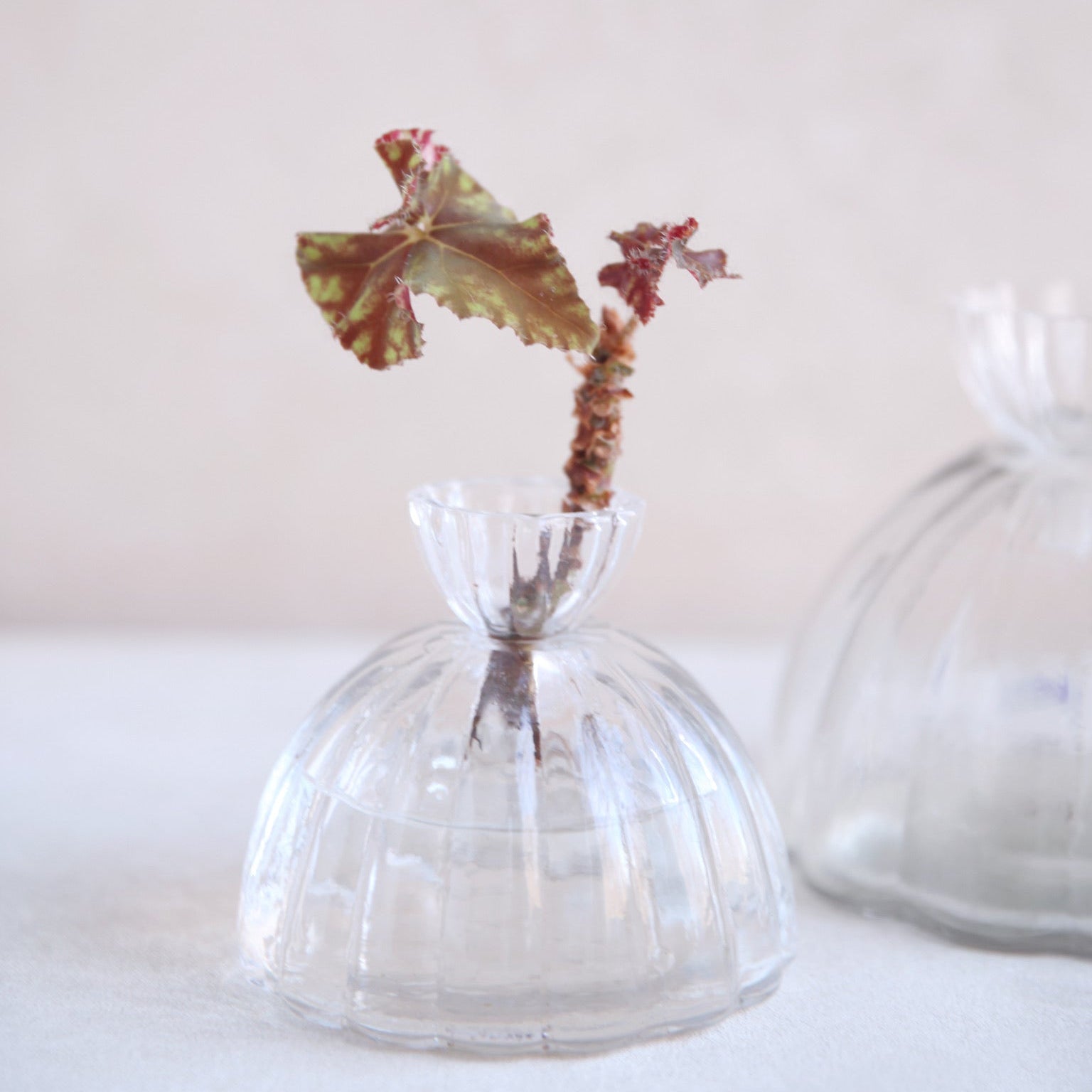 Glass_Root_Vase_Small_Wholesale