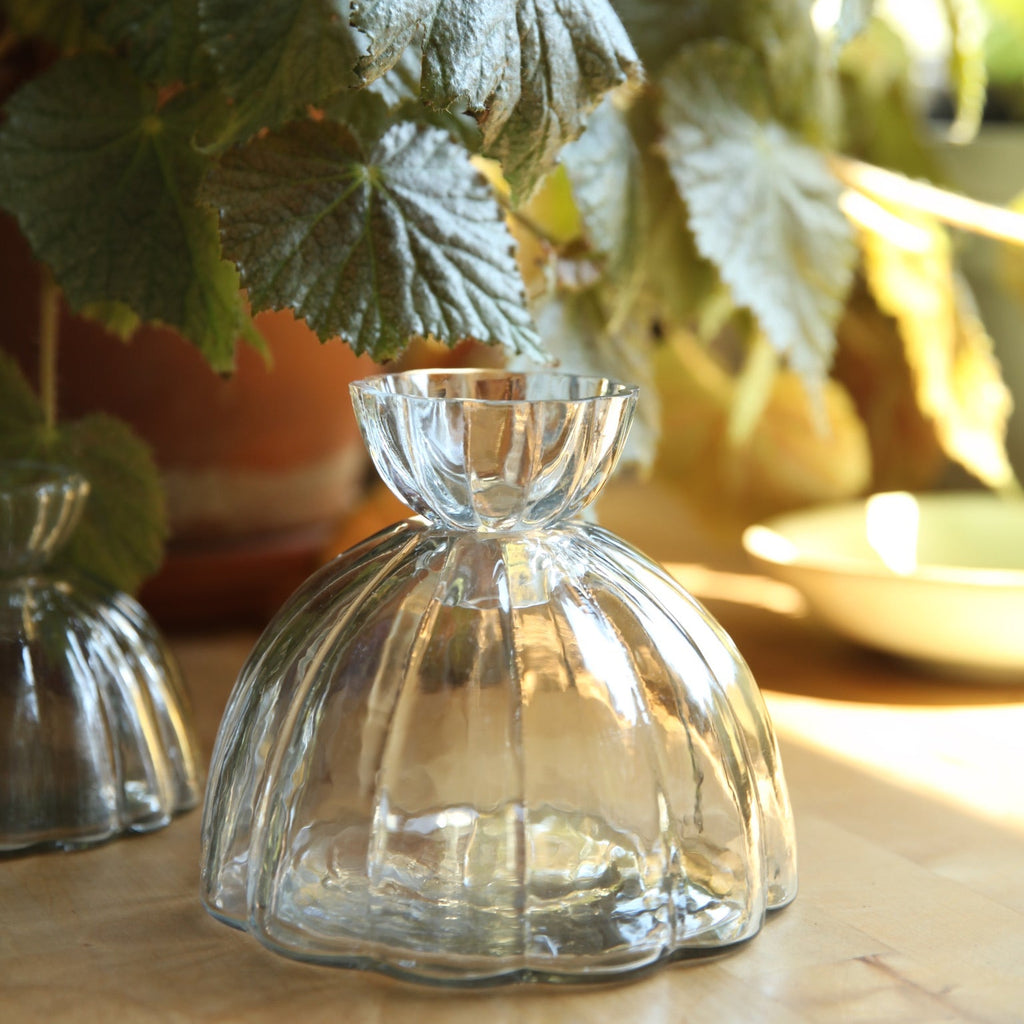 Glass Root Vase The Floral Society