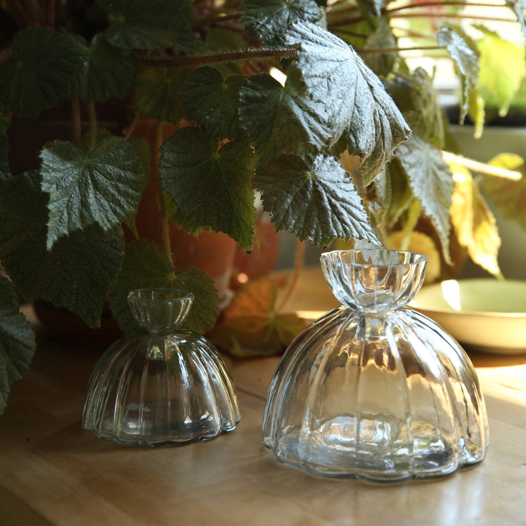 Glass Root Vase The Floral Society