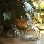Glass Root Vase The Floral Society
