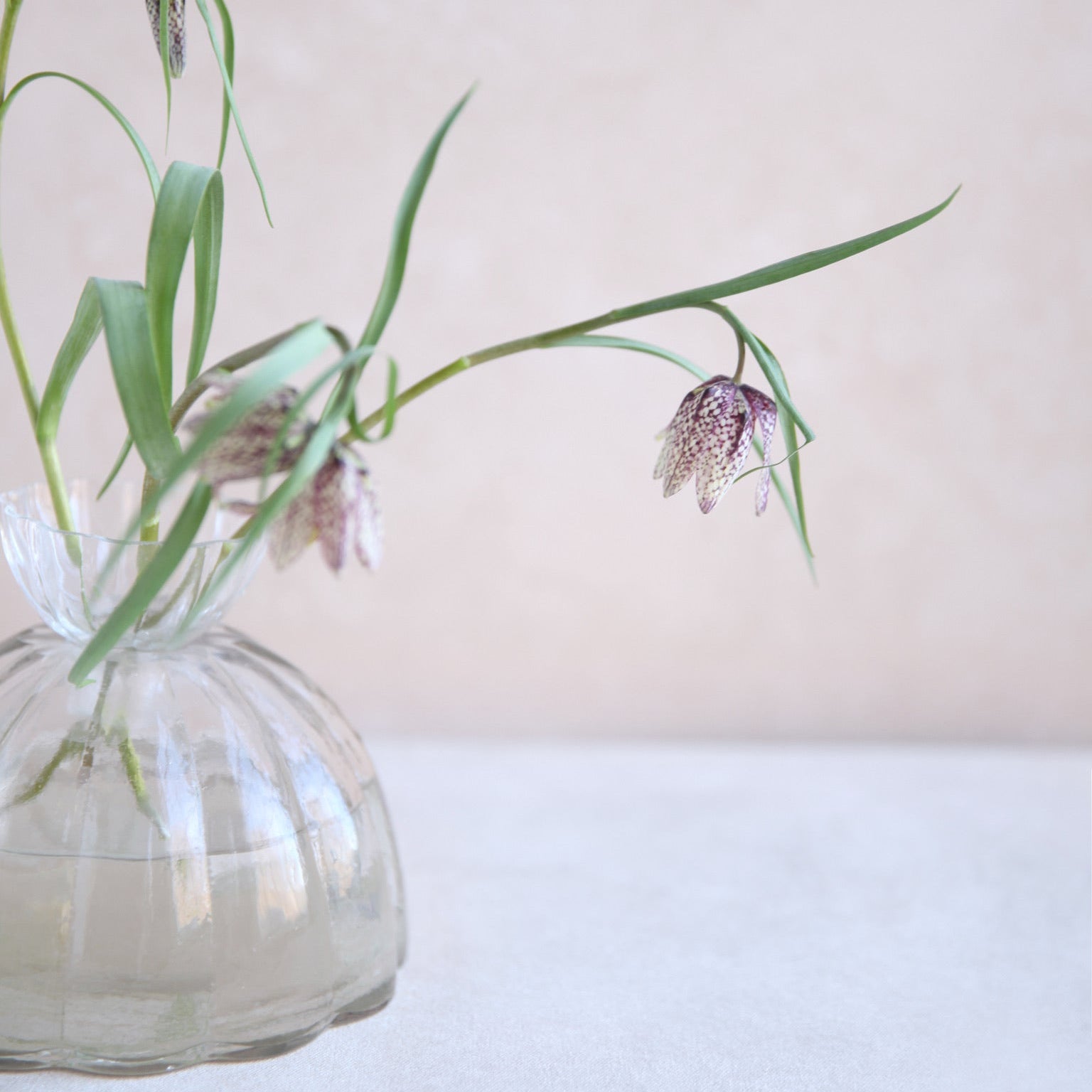 Glass Root Vase Wholesale