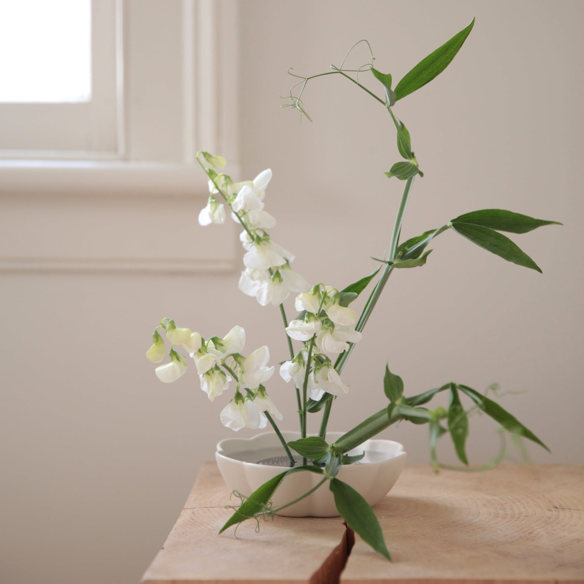Fleur Dish