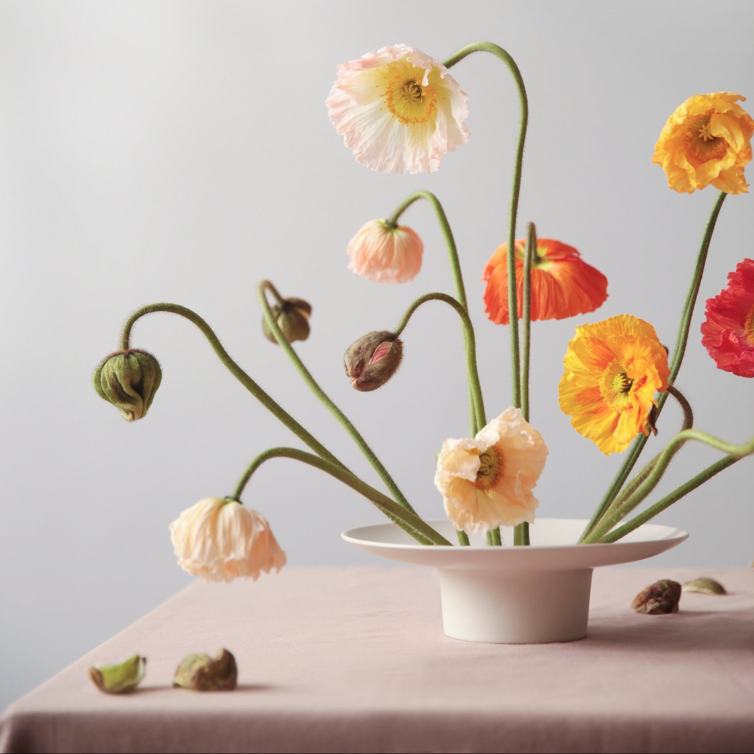 Ikebana Vase_White Ceramic