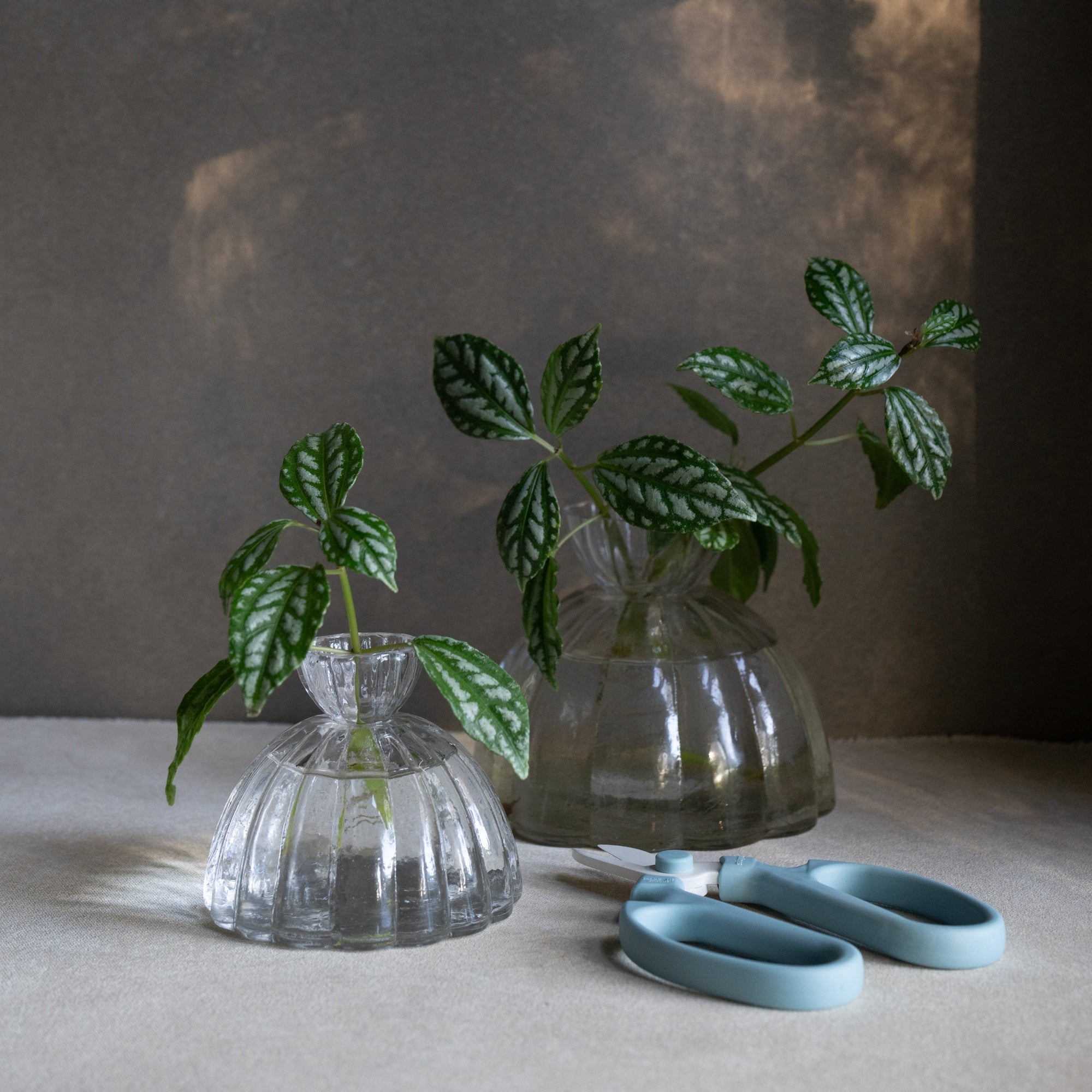 Japanese Floral Clippers_Heron