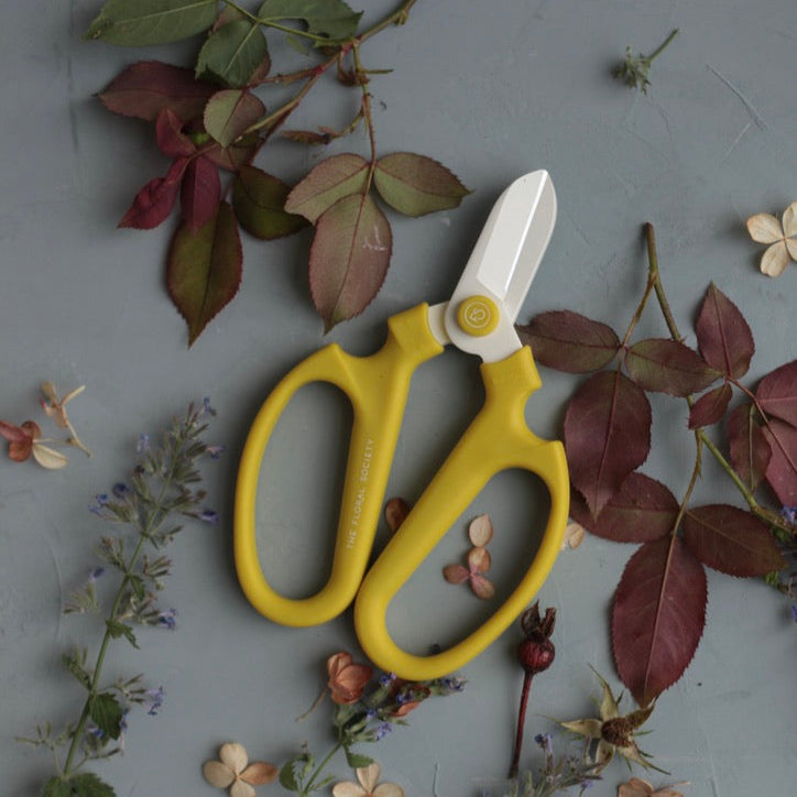 Japanese Floral Clippers _Citrine Yellow