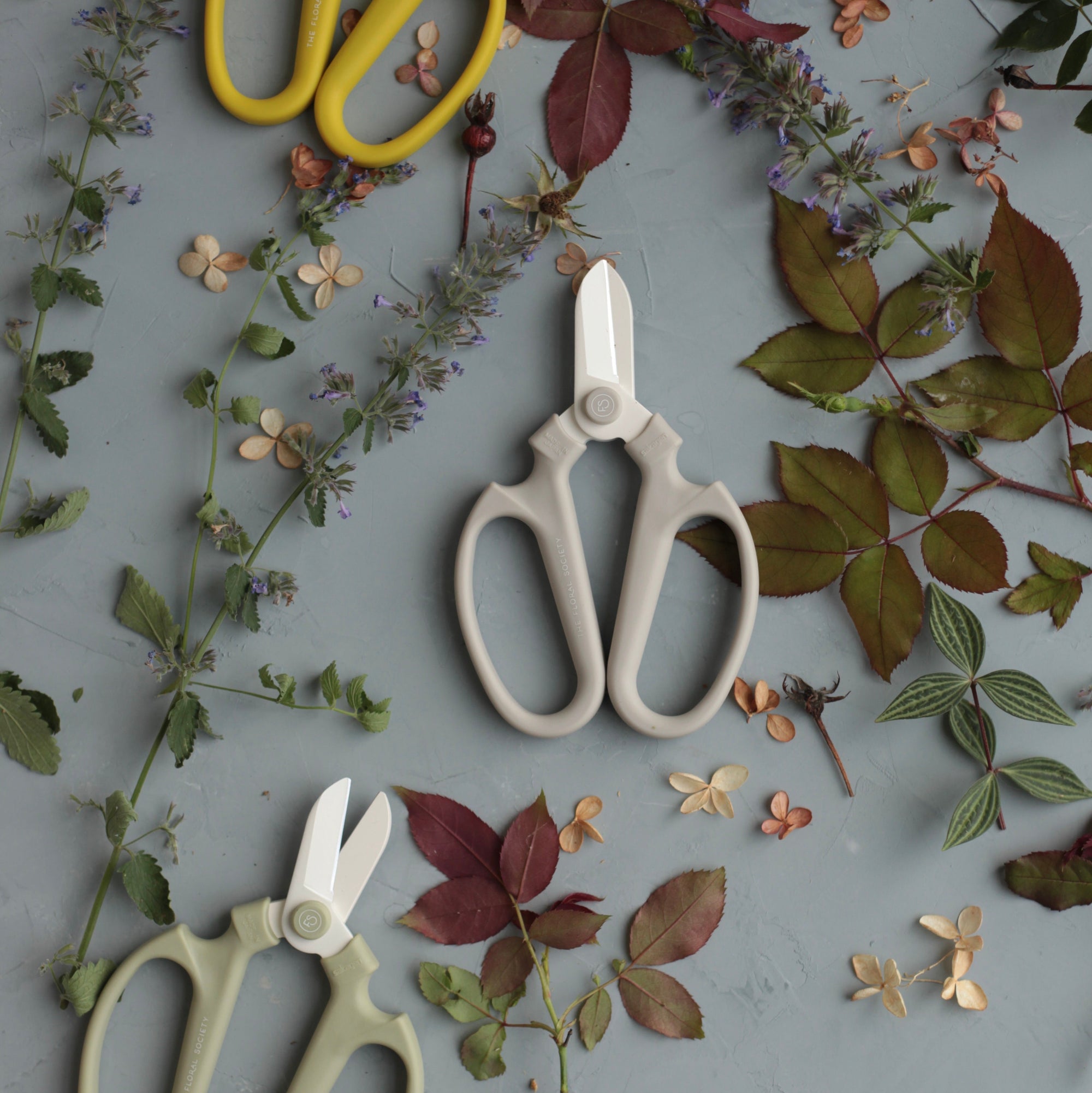 Japanese Floral Clippers _Citrine Yellow_Fog_Sage