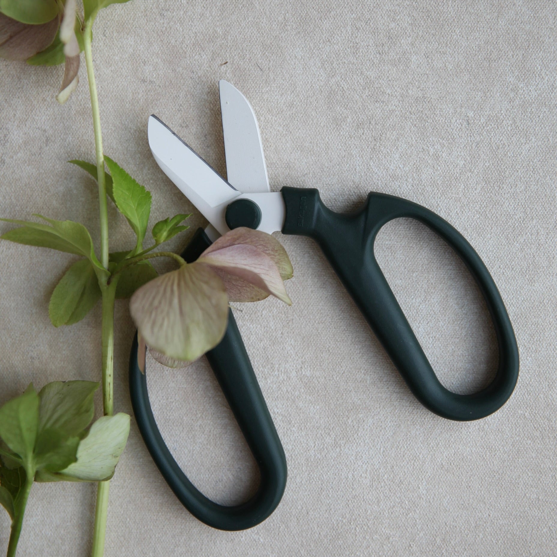 Japanese Floral Clippers _Pine