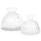 Root Propagation Vase