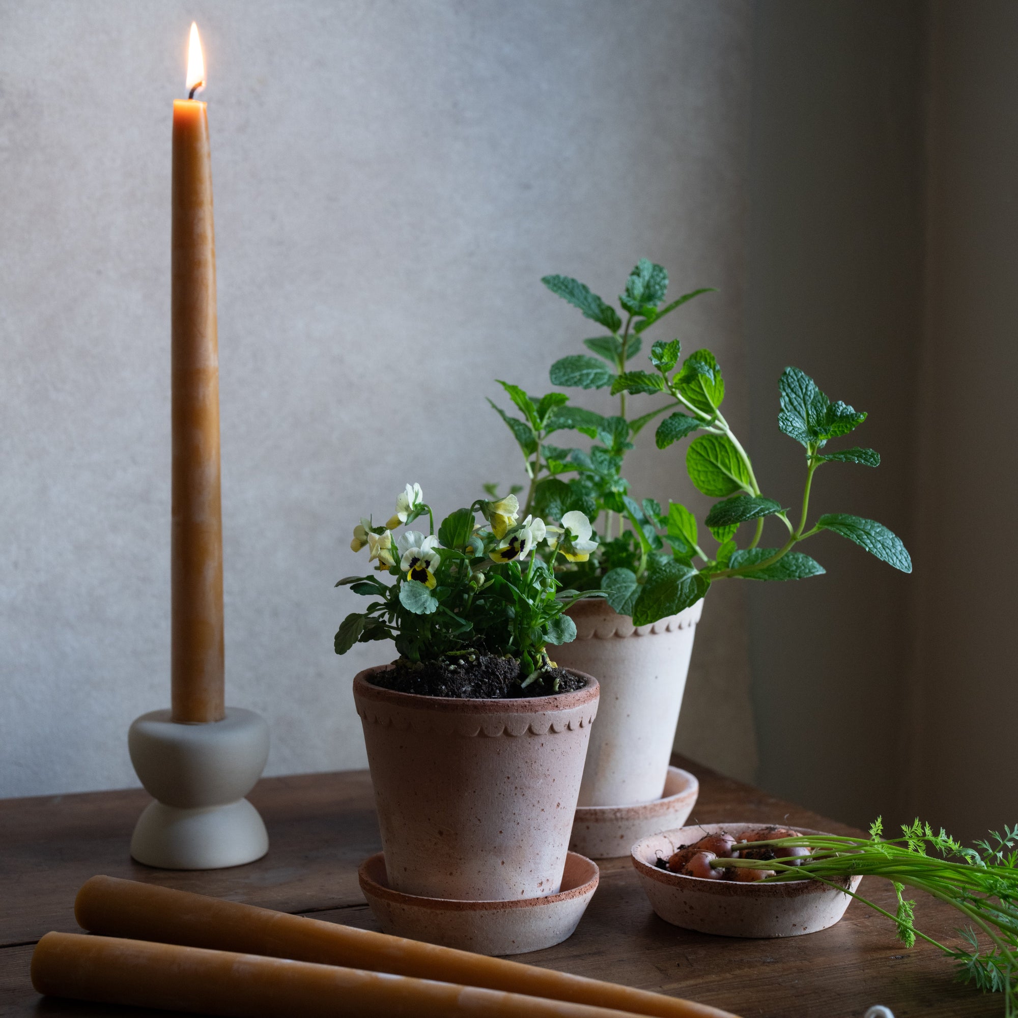 Beeswax 12" Handmade Taper Candles