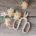 The Floral Society Clipper Fog