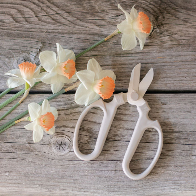 The Floral Society Clipper Fog