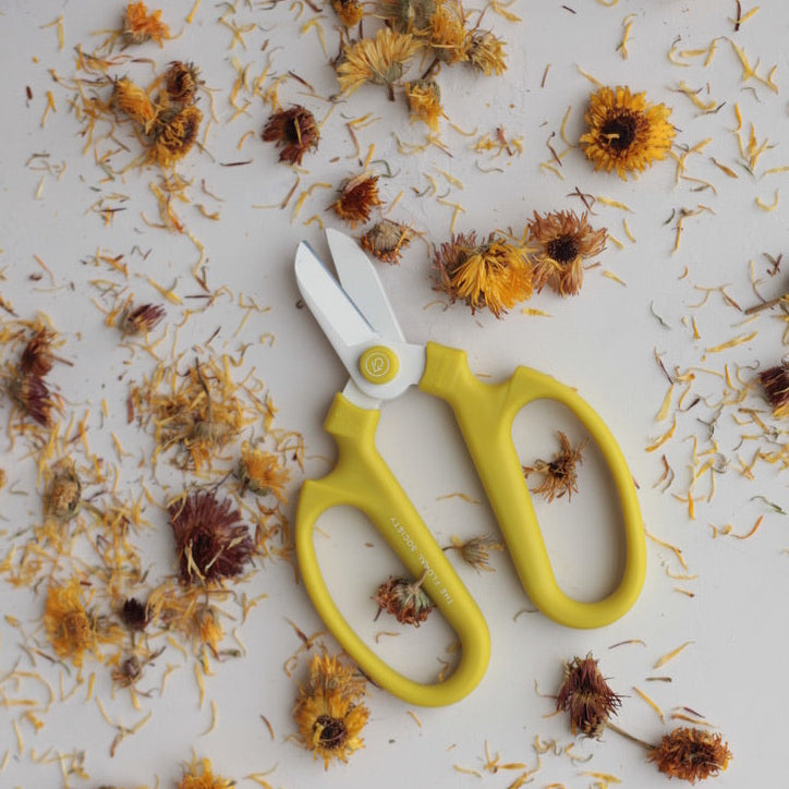 The_Floral_Society_Japanese_Flower_Clippers_Citrine