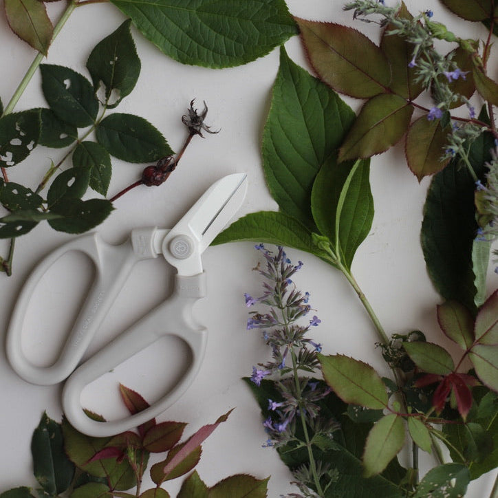The_Floral_Society_Japanese_Flower_Clippers_Fog