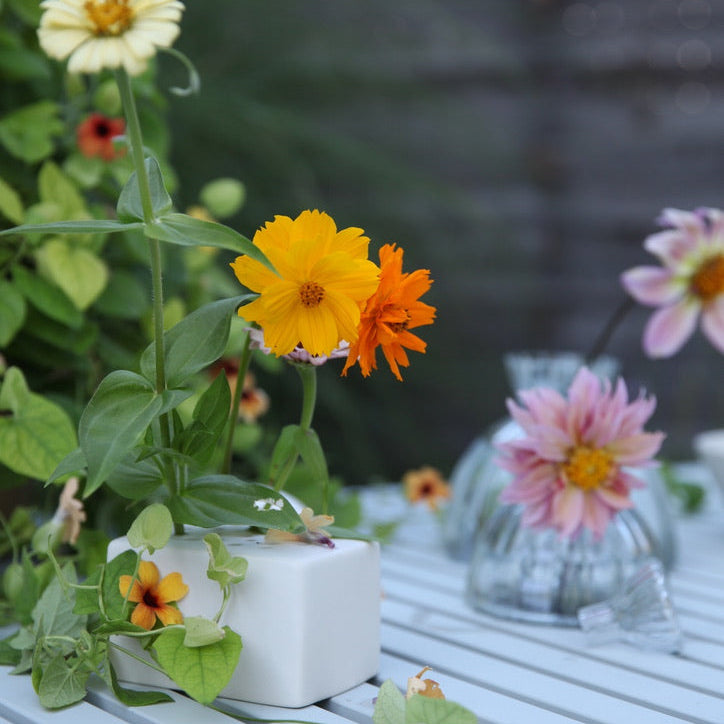 White Rectangular Flower Frog Vase