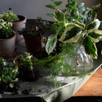 Workshop Mat_Fern