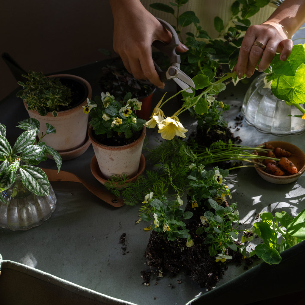 Workshop Mat_Fern